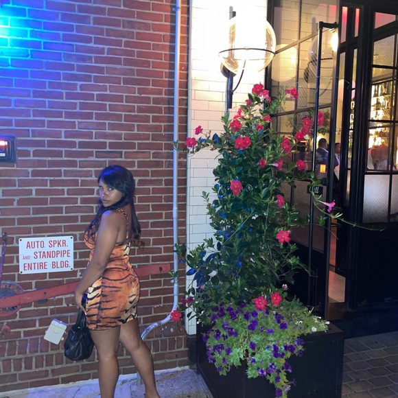 Leopard dress - Picture 2 of 4